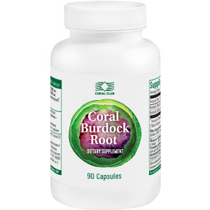 Coral Burdock Root