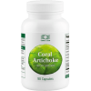 Coral Artishoke